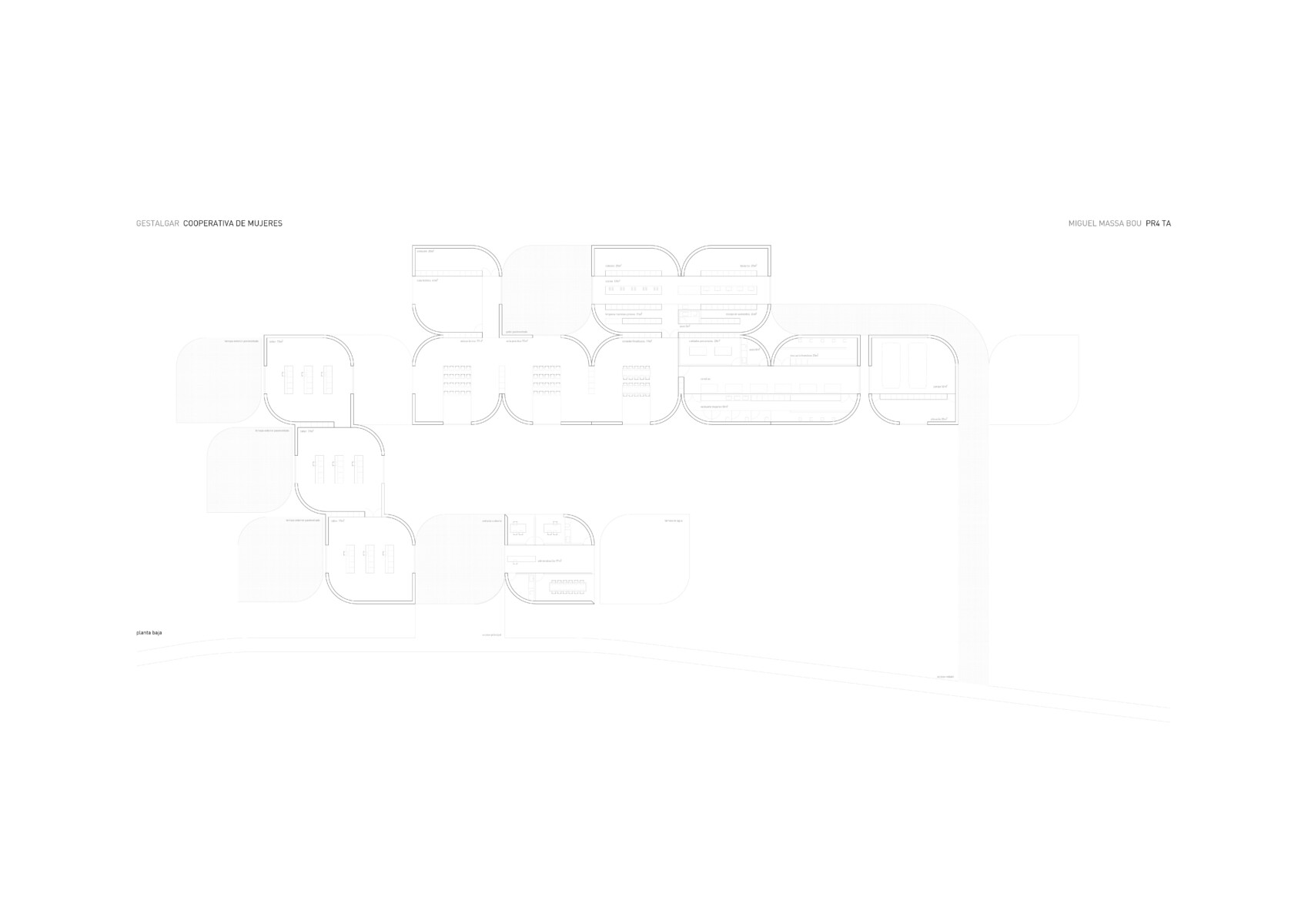 Miguel Massa_ Cooperativa7