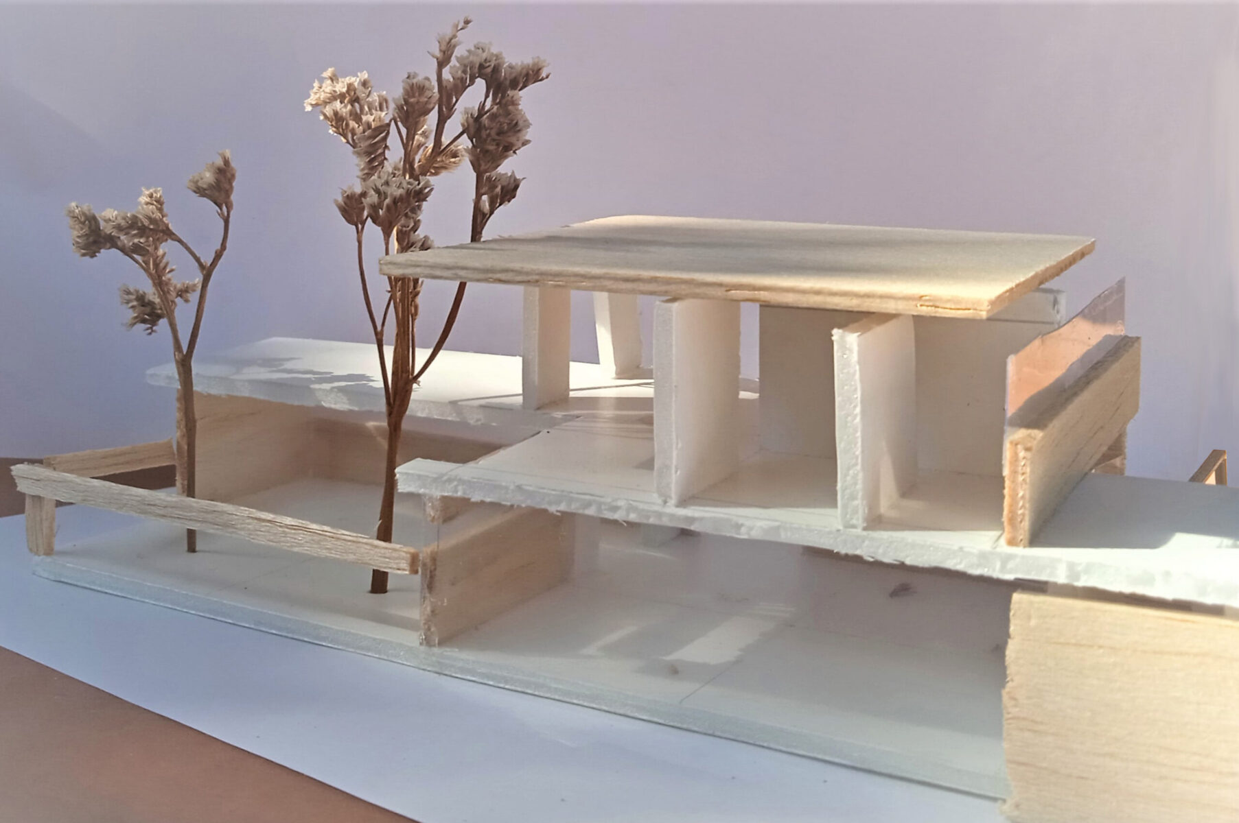 2020_2021_TA_PR1_Inés Domenech_10_maqueta